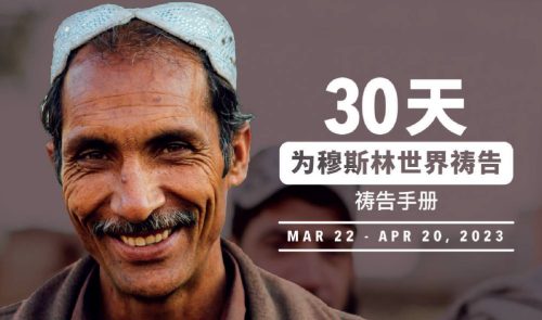 30 Days of Prayer (Simplified Chinese, Adult - 1 Ebook Per Person) [30天祷告（简体中文，成人 - 一本电子书购买限于一个人使用 ) ] 2023
